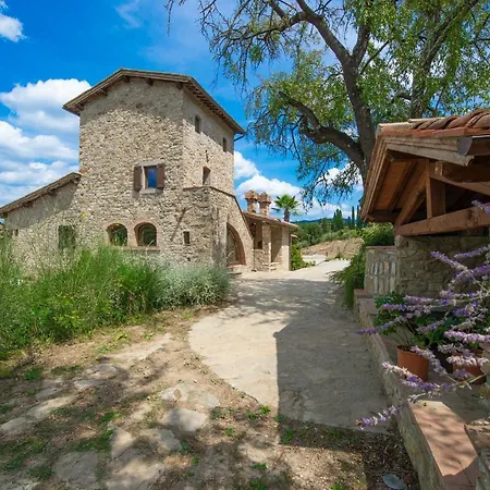 Il Vigneto - Homelike * Panzano in Chianti