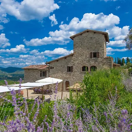 Il Vigneto - Homelike Villa Panzano in Chianti