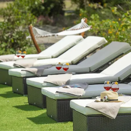 Il Vigneto - Teloni Villa Panzano in Chianti