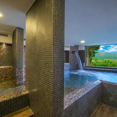 Il Vigneto - Teloni * Panzano in Chianti